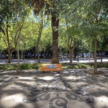 Bairro Alto Auberge de jeunesse *